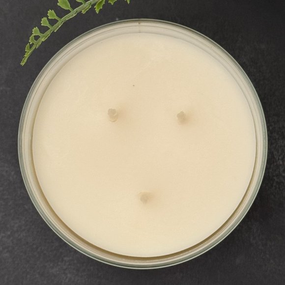 BBW Gingham Bath & Body Works 3 Wick Candle - Picture 7 of 10